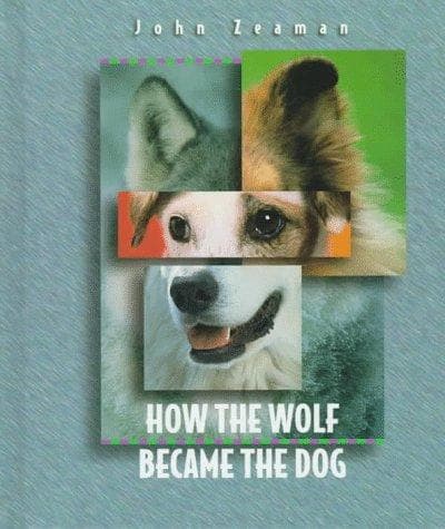 Cover of How the wolf became the dog by John Zeaman
