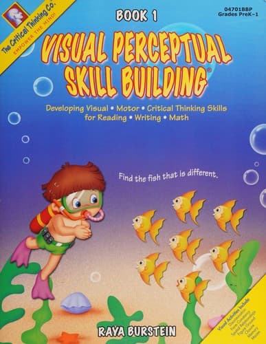 Cover of Visual perceptual skill building by Raya Burstein