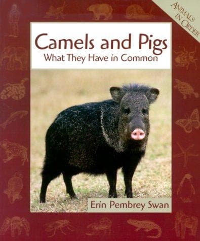 Cover of Camels and pigs by Erin Pembrey Swan