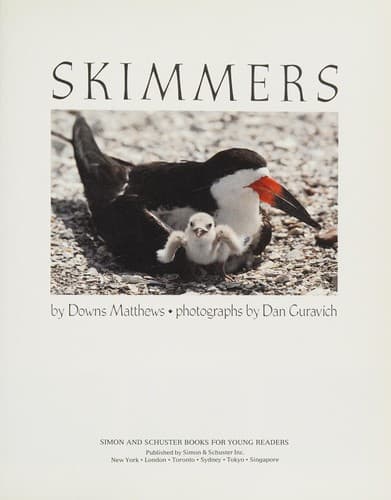 Cover of Skimmers and their young by Downs Matthews