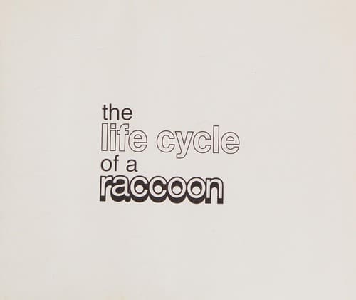 Cover of The life cycle of a raccoon by Julian May