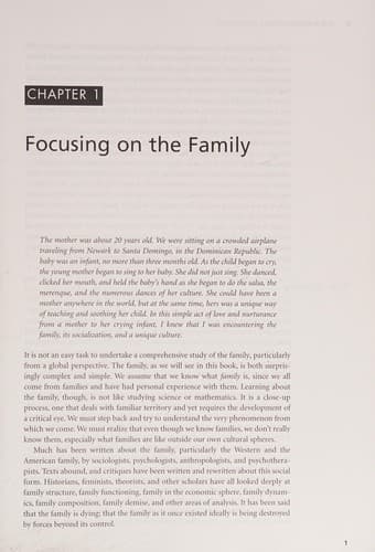 Cover of The family in global perspective by Elaine J Leeder