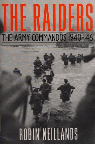 Cover of The raiders by Robin Neillands