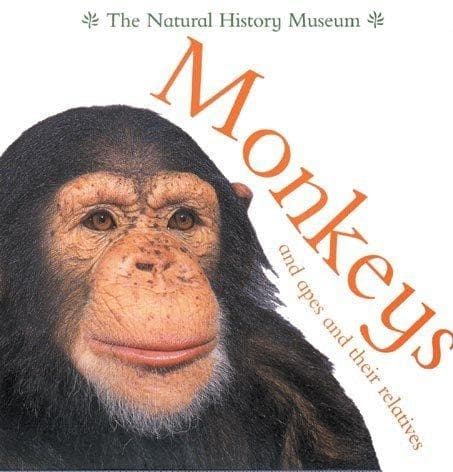 Cover of Monkeys and Apes and Their Relatives (Animal Close-ups) by Barbara Taylor
