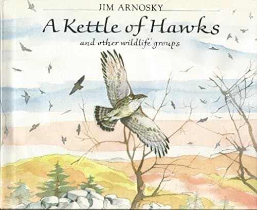 Cover of A kettle of hawks and other wildlife groups by Jim Arnosky