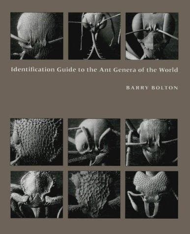 Cover of Identification guide to the ant genera of the world by Barry Bolton