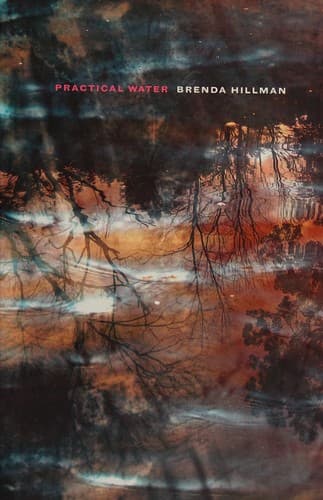 Cover of Practical water by Brenda Hillman