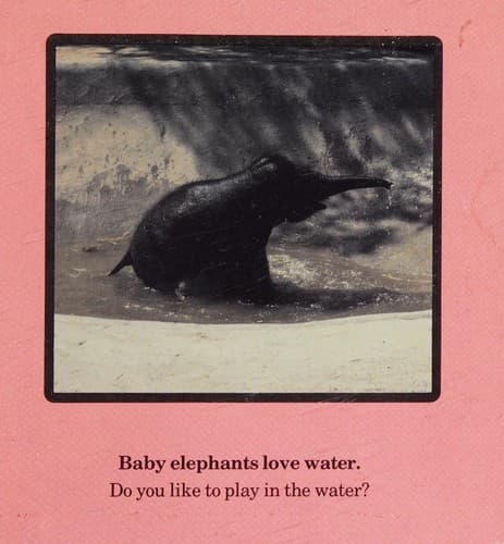 Cover of A zookeeper looks at elephants by Gary Richmond