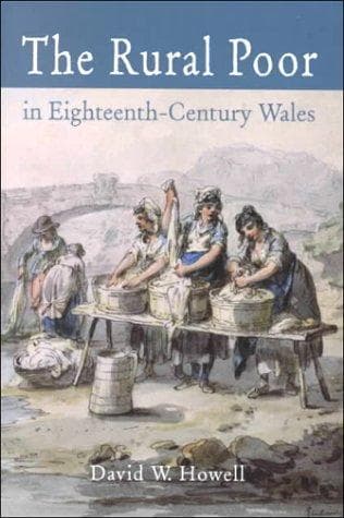 Cover of The rural poor in eighteenth-century Wales by David W. Howell