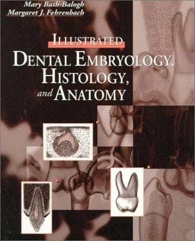 Cover of Illustrated Dental Embryology, Histology, and Anatomy by Mary Bath-Balogh