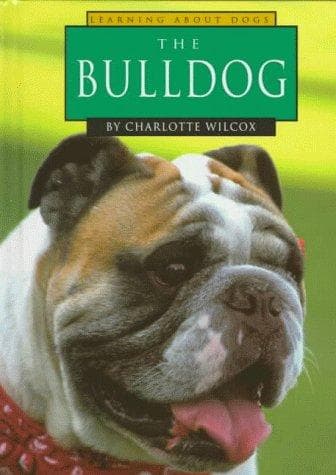 Cover of The bulldog by Charlotte Wilcox