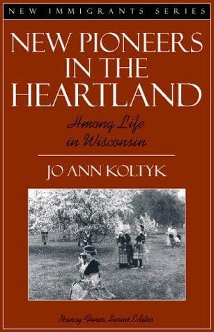 Cover of New pioneers in the heartland by Jo Ann Koltyk