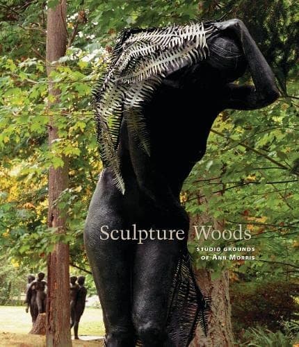 Cover of Sculpture woods by E. Theodore Lindberg