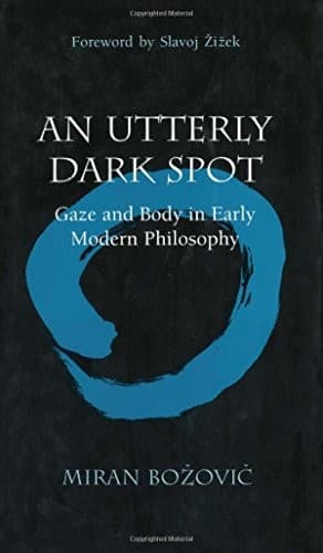 Cover of An utterly dark spot by Miran Božovič