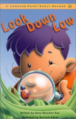 Cover of Look down low by Dana Meachen Rau