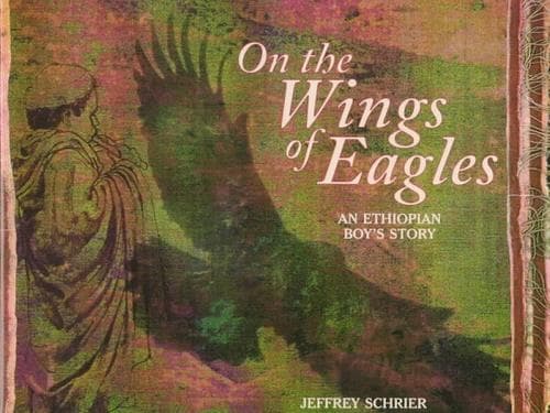 Cover of On the wings of eagles by Jeffrey Schrier