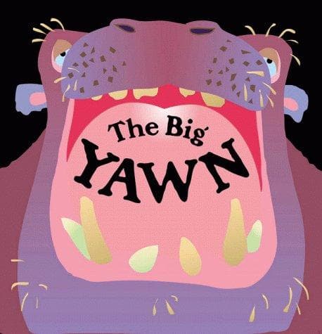 Cover of The big yawn by Keith Faulkner