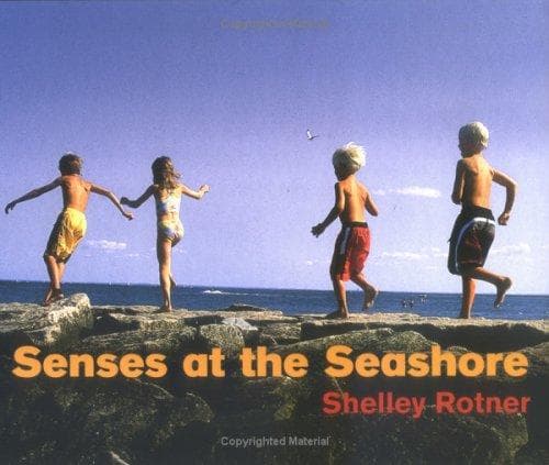 Cover of Senses at the seashore by Shelley Rotner