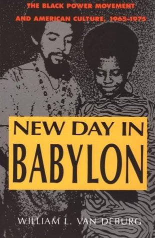 Cover of New day in Babylon by William L. Van Deburg