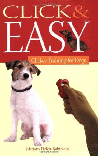 Cover of Click and easy by Miriam Fields-Babineau