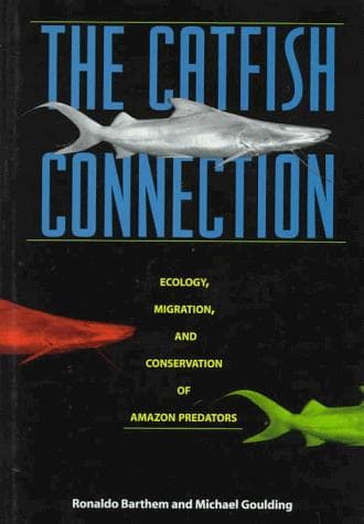 Cover of The catfish connection by Ronaldo Barthem
