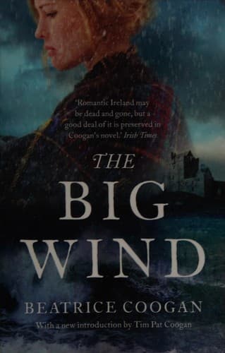 Cover of The big wind by Beatrice Coogan