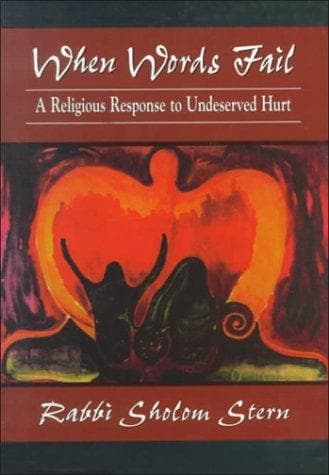 Cover of When words fail by Sholom Stern