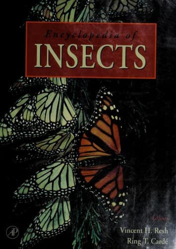 Cover of Encyclopedia of insects by Vincent H. Resh