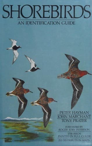 Cover of Shorebirds by Peter Hayman