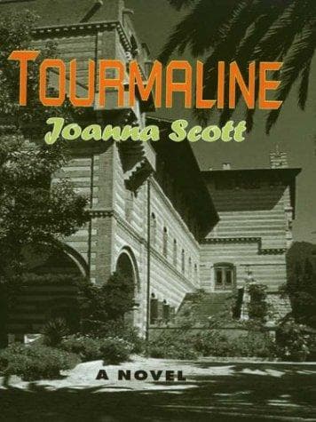 Cover of Tourmaline by Joanna Scott