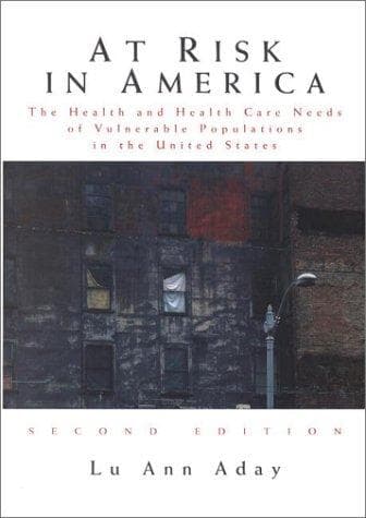 Cover of At Risk in America by Lu Ann Aday