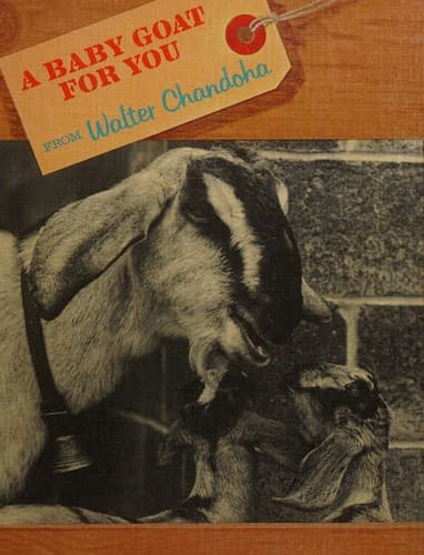 Cover of A baby goat for you by Walter Chandoha