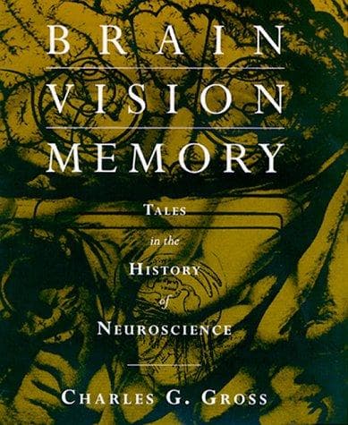 Cover of Brain, vision, memory by Charles G. Gross