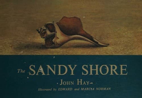 Cover of The sandy shore by Hay, John