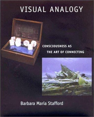 Cover of Visual Analogy by Barbara Maria Stafford