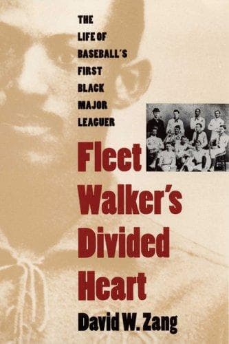 Cover of Fleet Walker's divided heart by David Zang