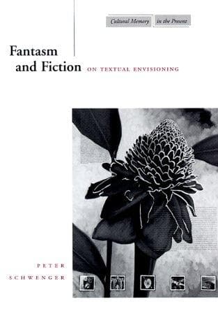 Cover of Fantasm and fiction by Peter Schwenger