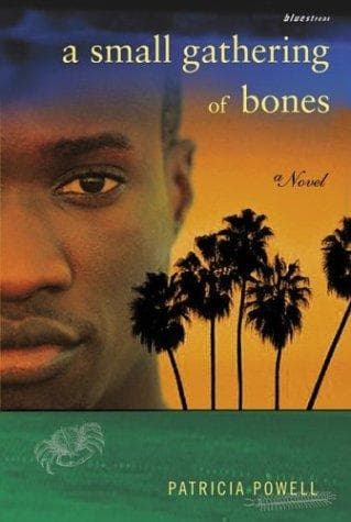 Cover of A small gathering of bones by Patricia Powell