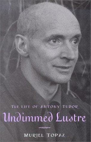Cover of Undimmed lustre by Muriel Topaz