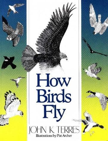 Cover of Flashing wings by John K. Terres
