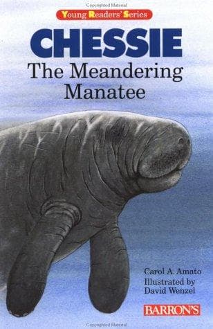 Cover of Chessie, the meandering manatee by Carol A. Amato