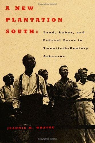 Cover of A new plantation south by Jeannie M. Whayne
