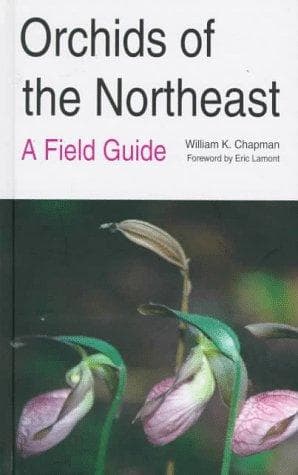 Cover of Orchids of the Northeast by William K. Chapman