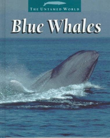Cover of Blue whales by Patricia Miller-Schroeder