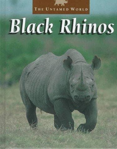 Cover of Black rhinos by Melanie Watt
