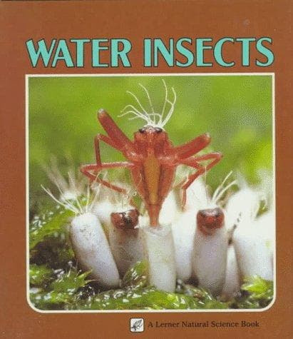 Cover of Water insects by Sylvia A. Johnson