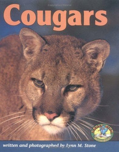 Cover of Cougars by Lynn M. Stone