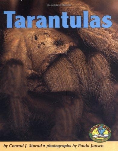 Cover of Tarantulas by Conrad J. Storad