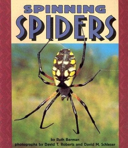 Cover of Spinning spiders by Ruth Berman