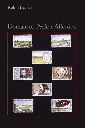 Cover of Domain of Perfect Affection by Robin Becker